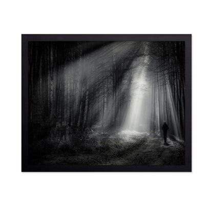 Light Path Forest