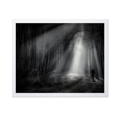 Light Path Forest
