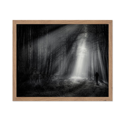 Light Path Forest