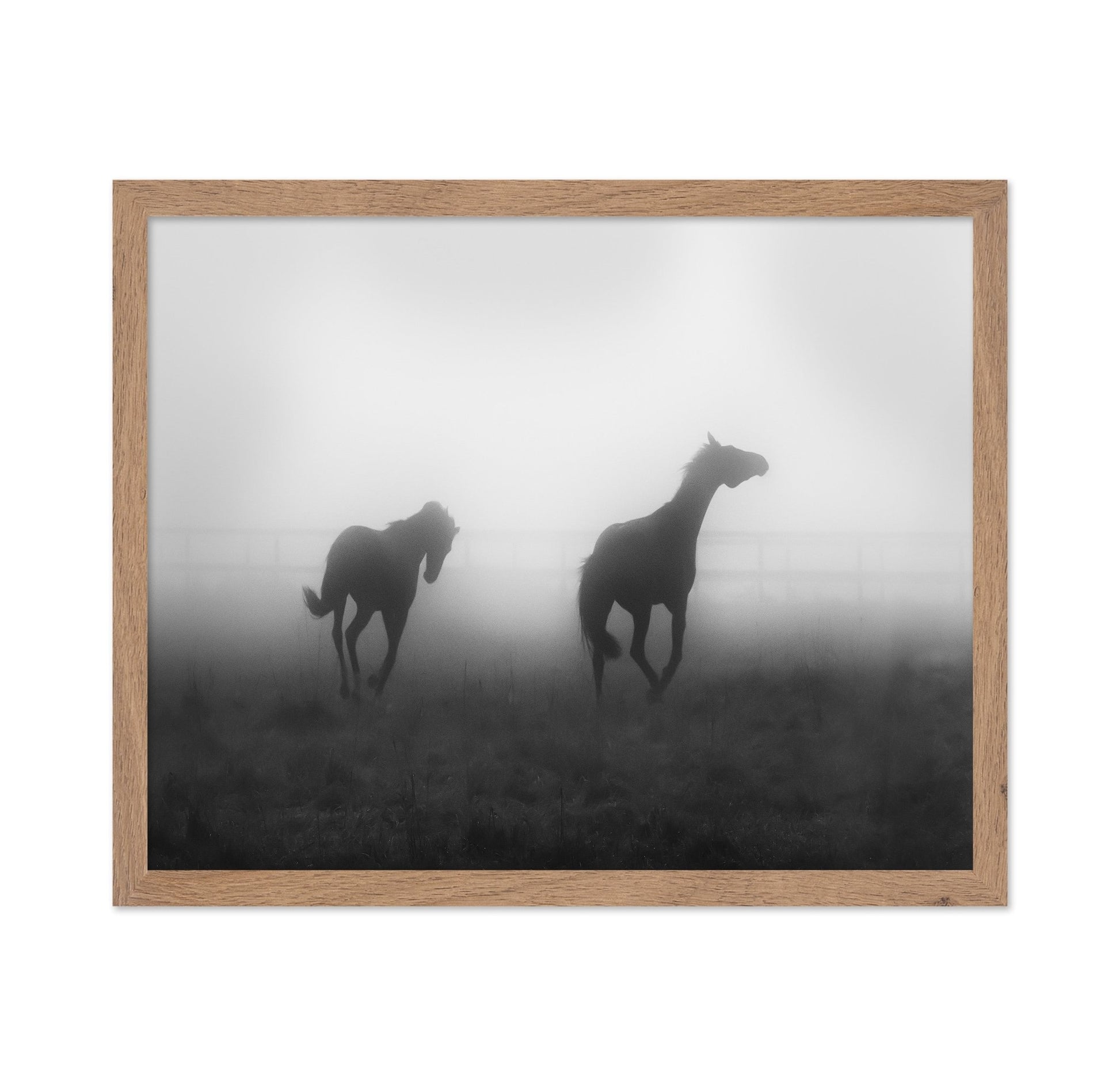 Misty Horses Run