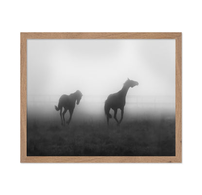 Misty Horses Run