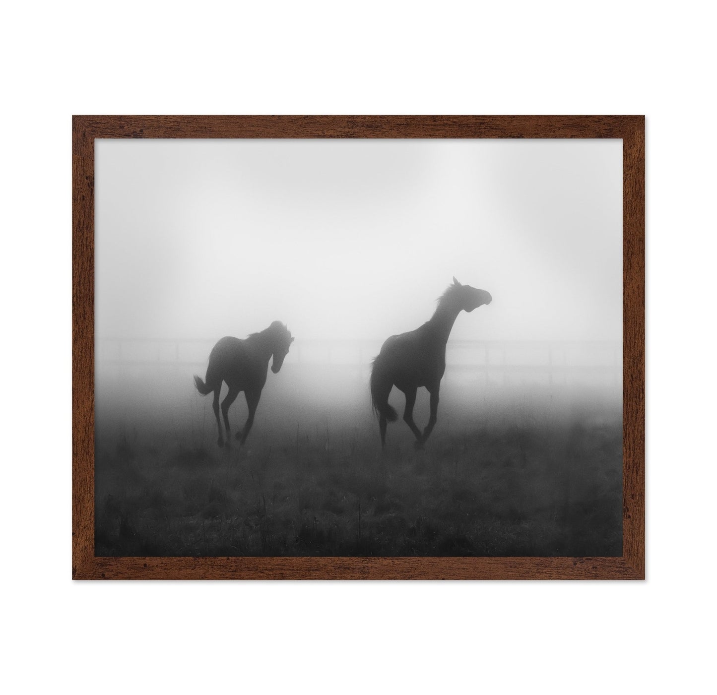 Misty Horses Run
