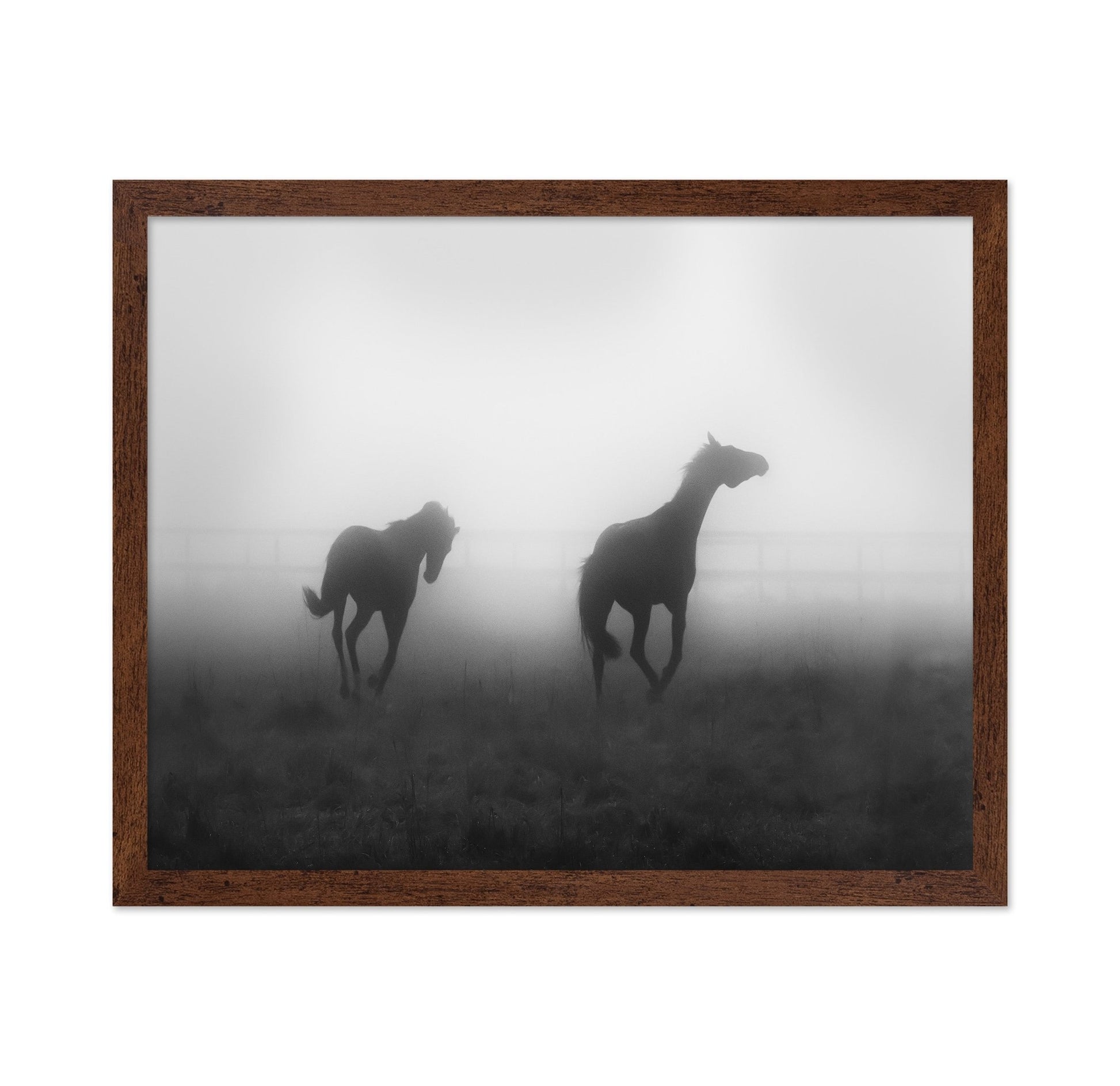 Misty Horses Run