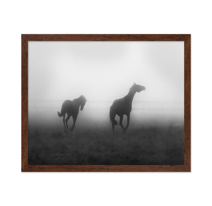 Misty Horses Run