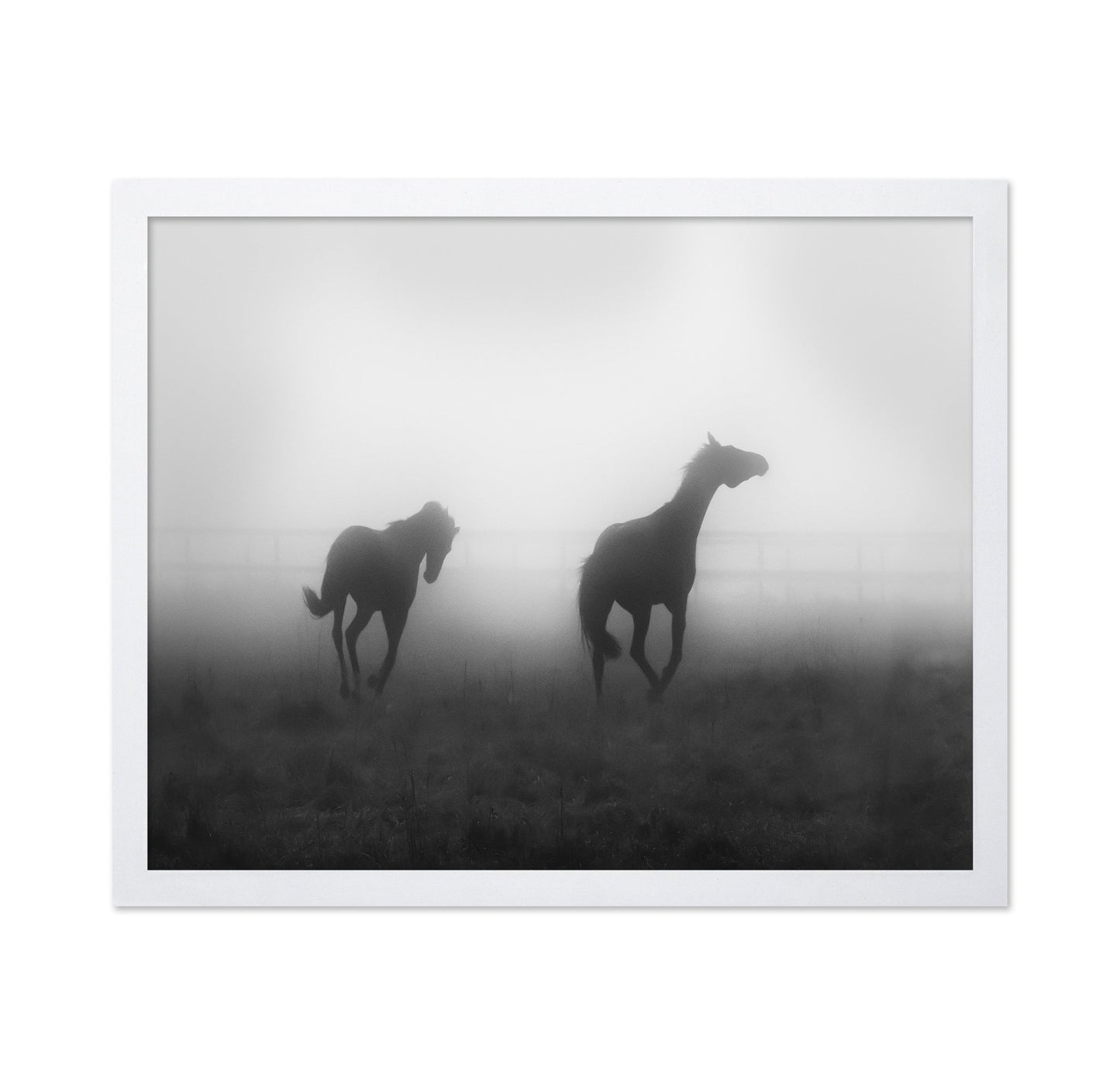 Misty Horses Run