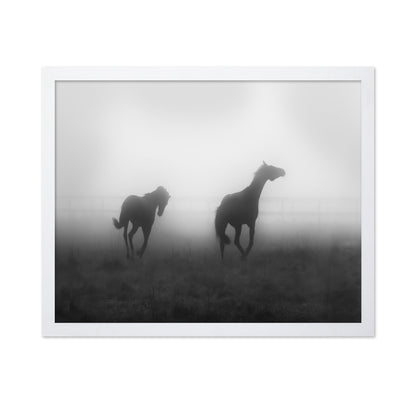 Misty Horses Run