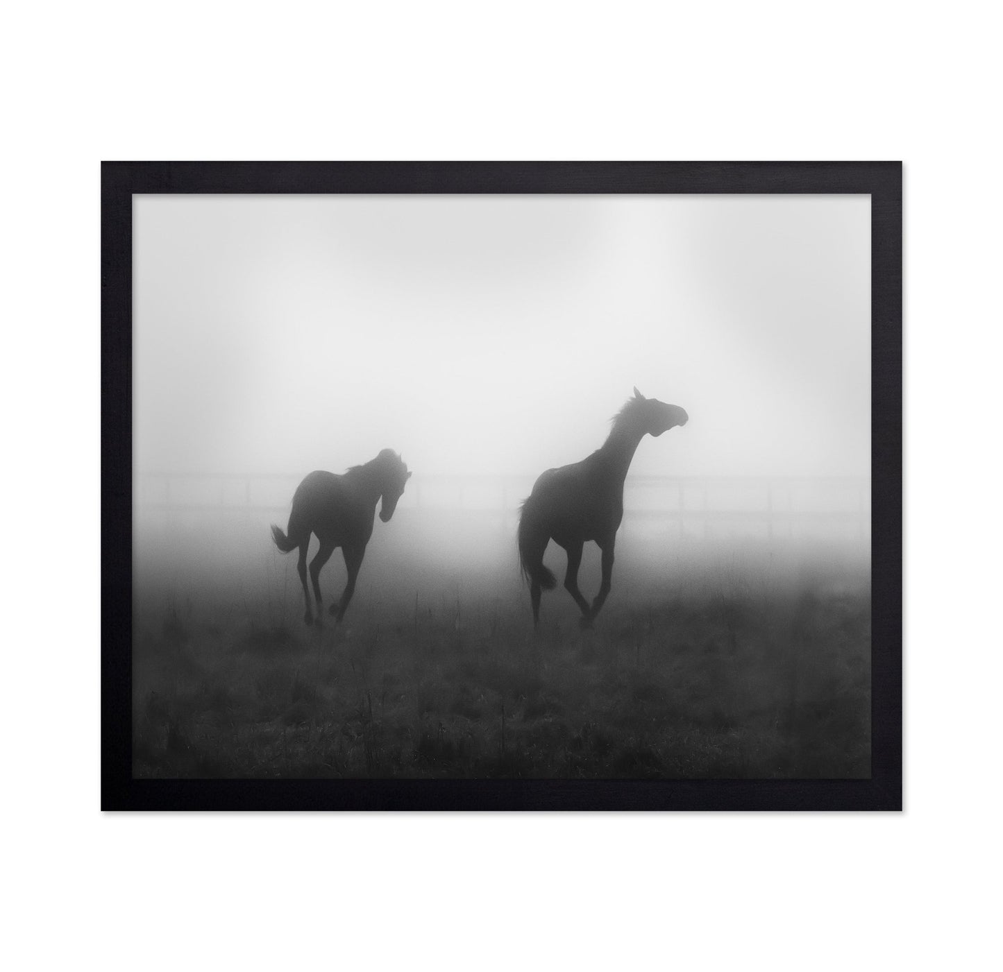 Misty Horses Run