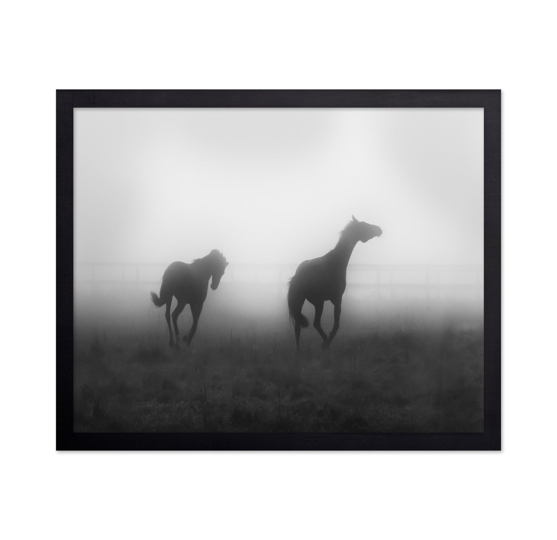 Misty Horses Run