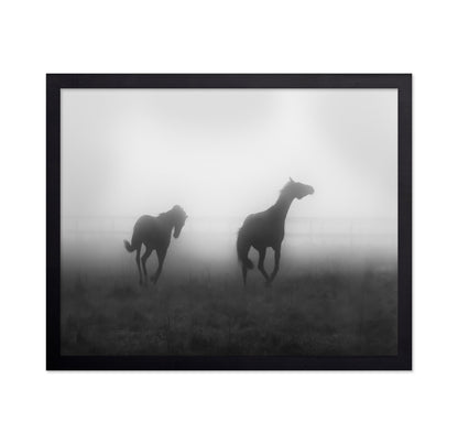 Misty Horses Run