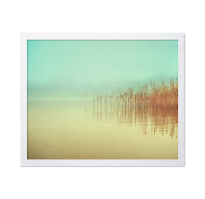 Soft Lake Reeds