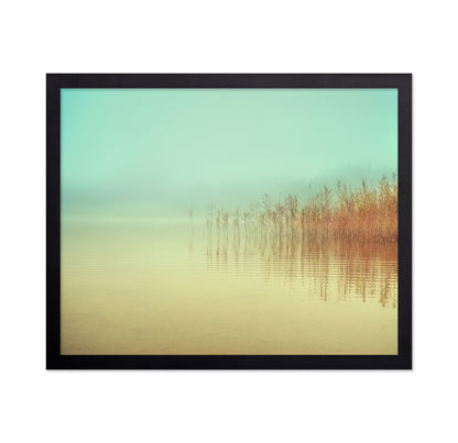 Soft Lake Reeds