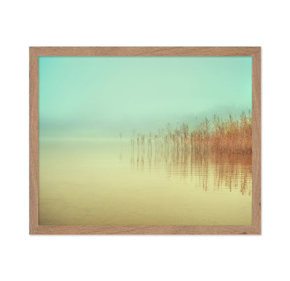 Soft Lake Reeds