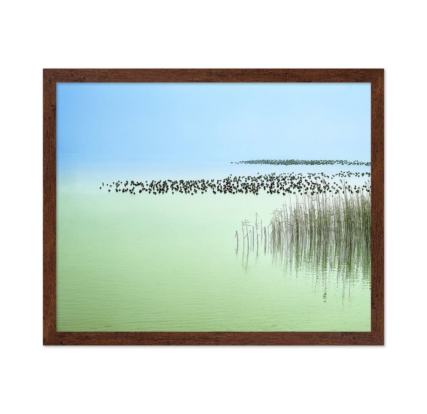 Minimal Lake Reeds