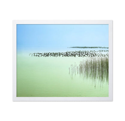 Minimal Lake Reeds