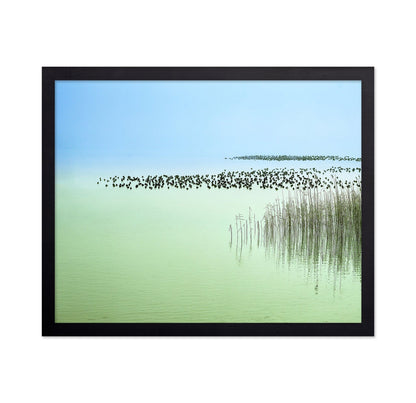 Minimal Lake Reeds