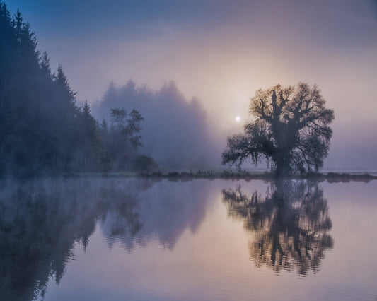 Misty Lake Reflection