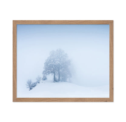 Snowy Fog Trees