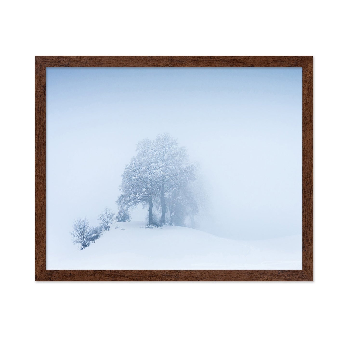 Snowy Fog Trees