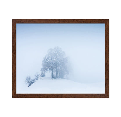 Snowy Fog Trees