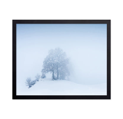 Snowy Fog Trees