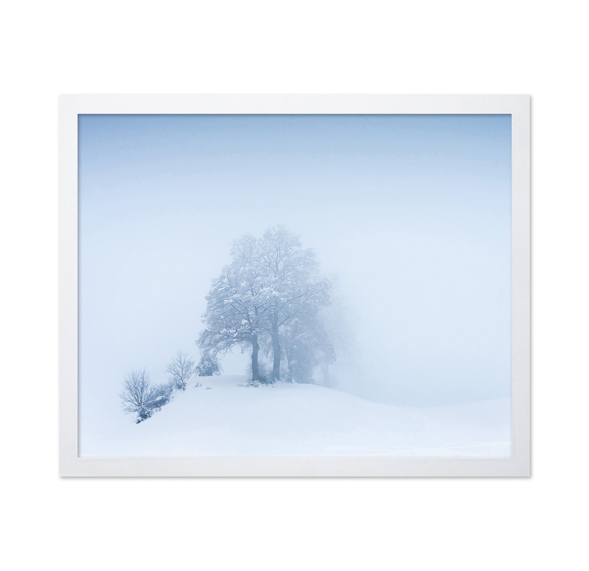 Snowy Fog Trees