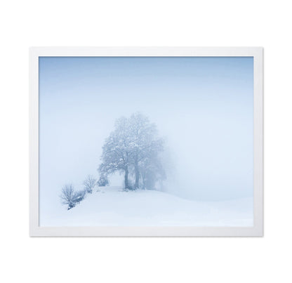 Snowy Fog Trees