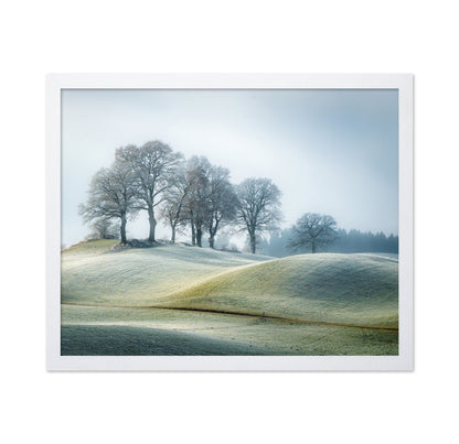 Frosted Hill Trees