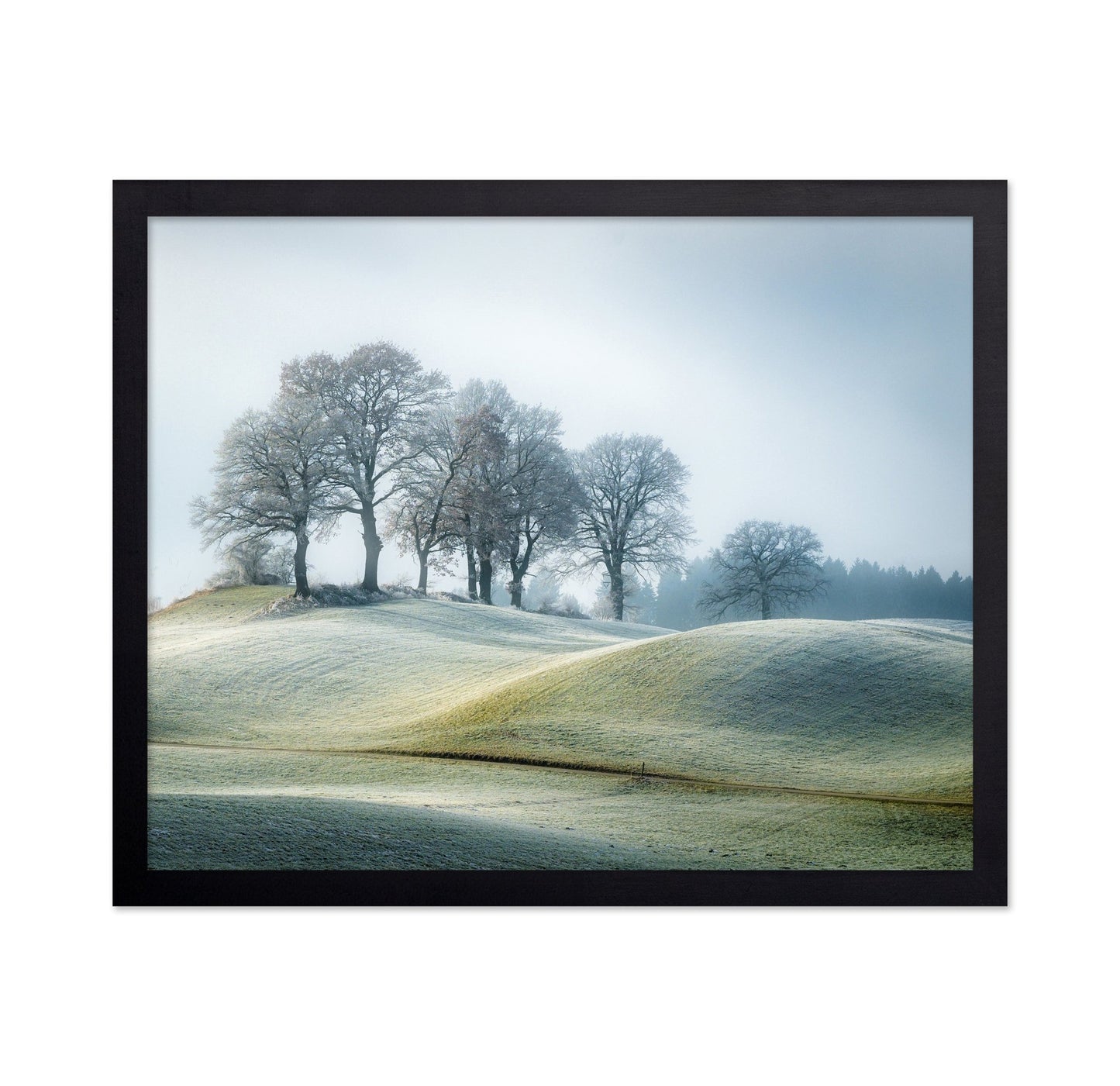 Frosted Hill Trees