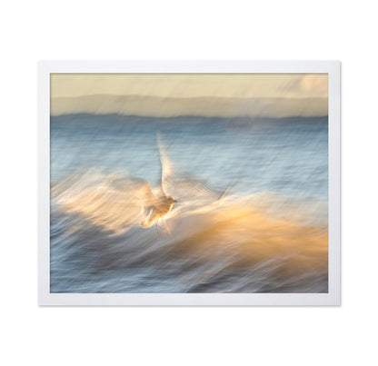Golden Wave Flight