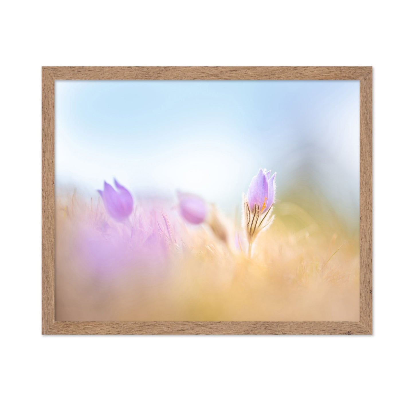 Soft Purple Bloom