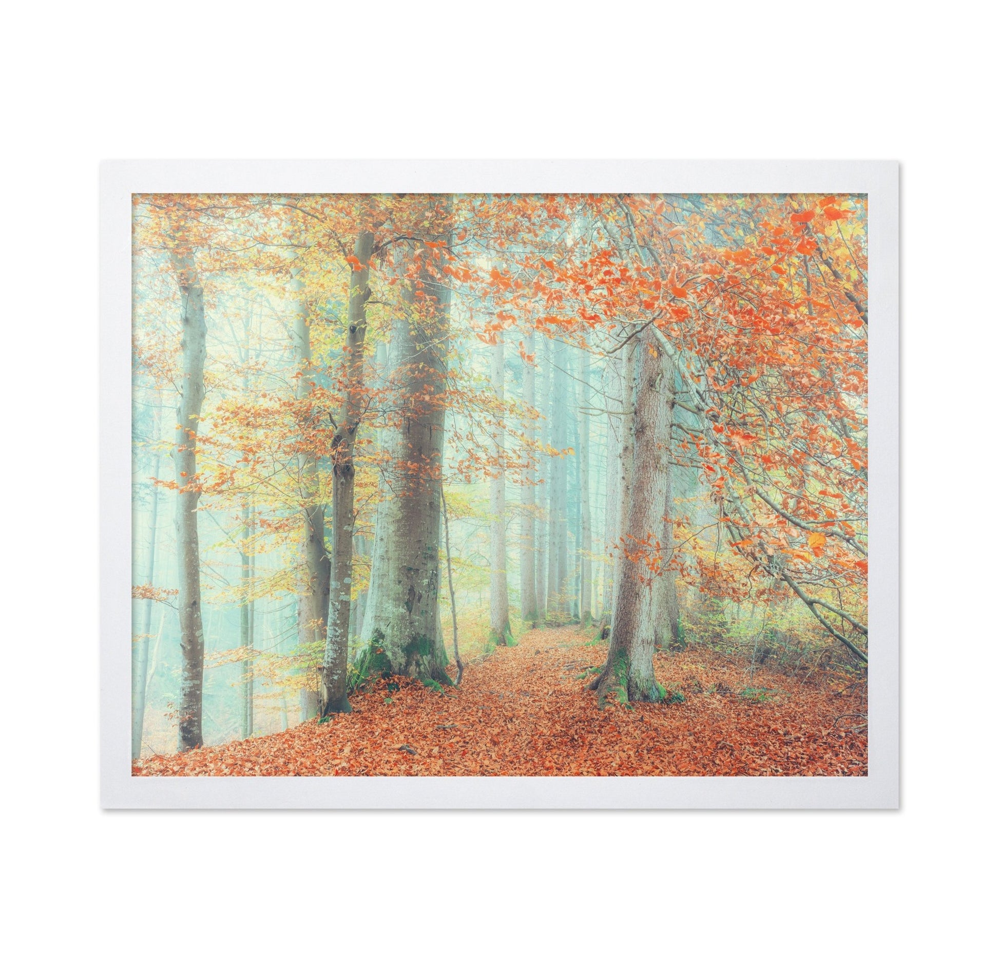 Autumn Forest Mist No2