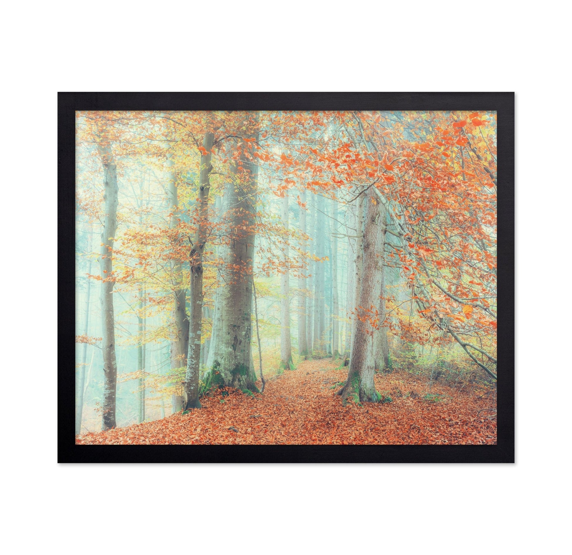Autumn Forest Mist No2