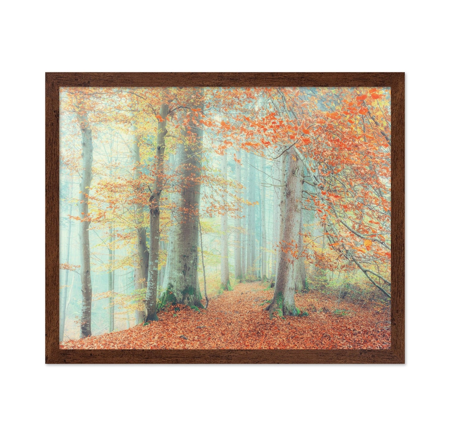 Autumn Forest Mist No2