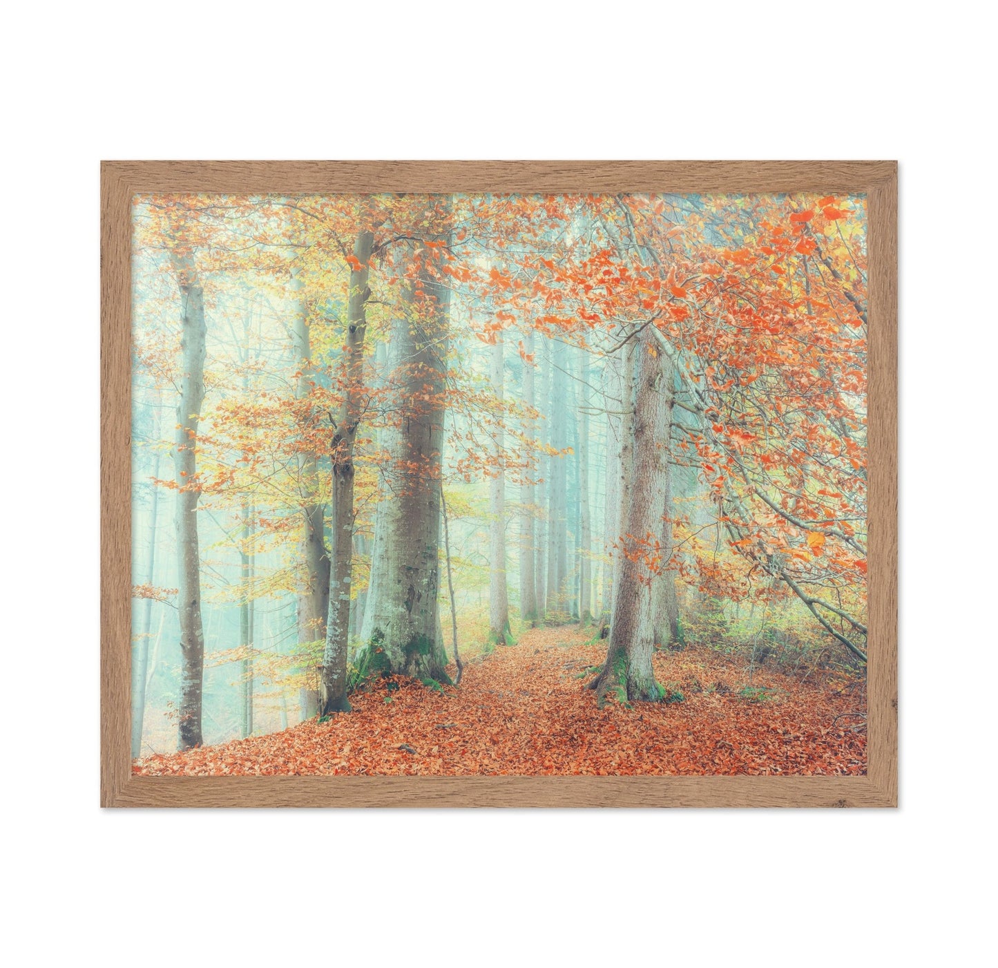 Autumn Forest Mist No2