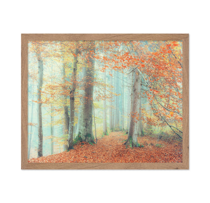 Autumn Forest Mist No2