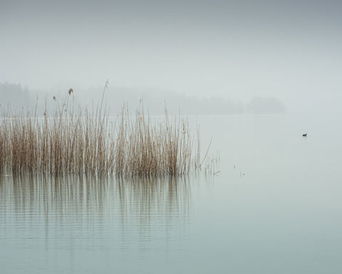 Minimalist Fog Lake