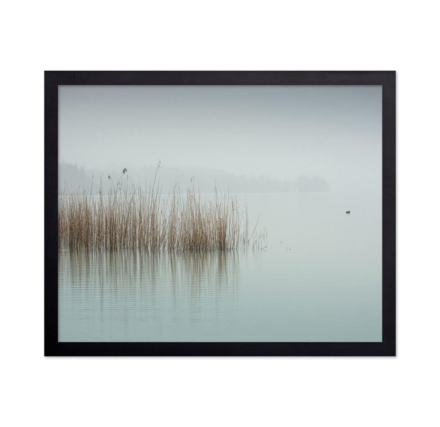 Minimalist Fog Lake