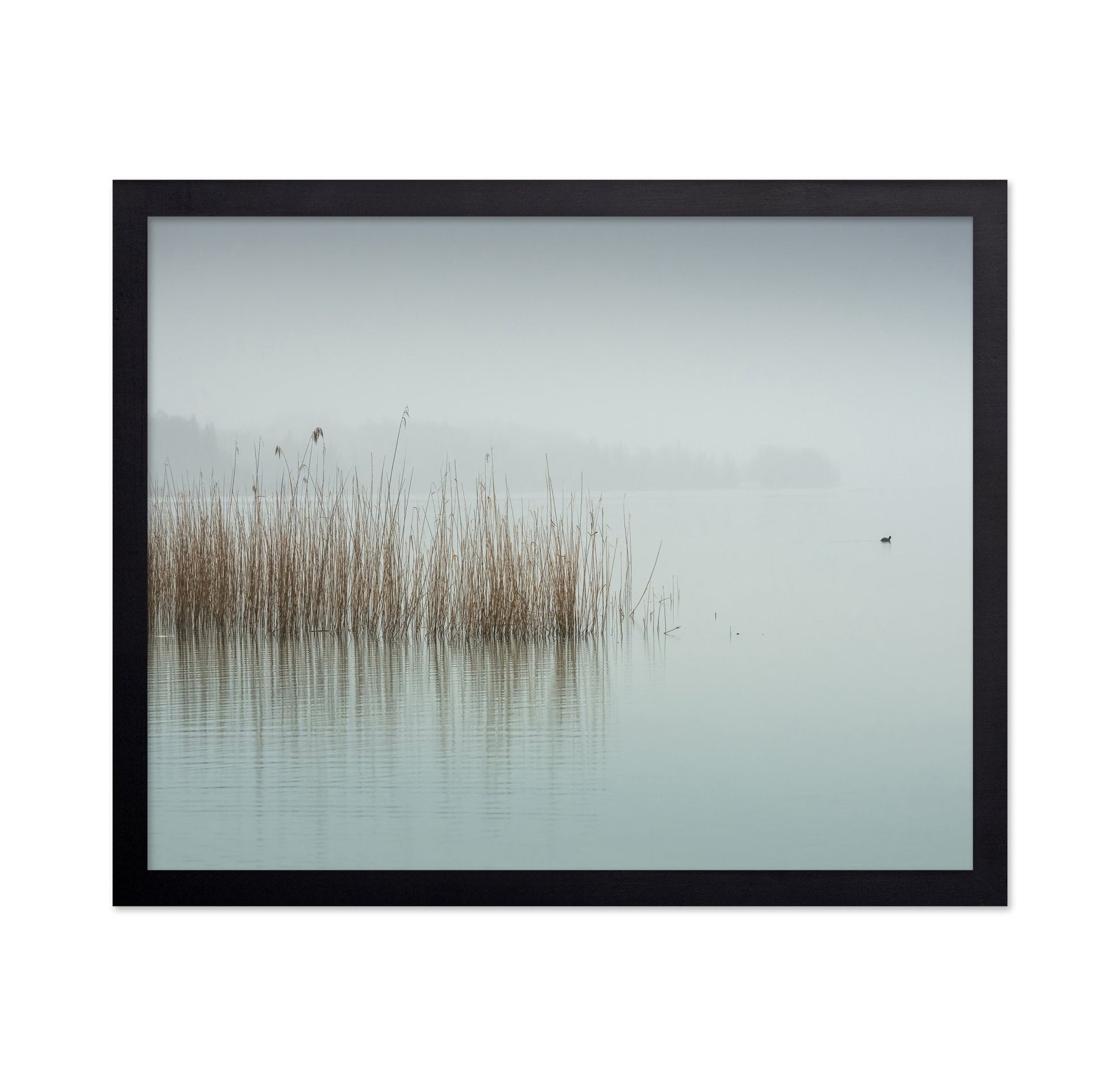 Minimalist Fog Lake