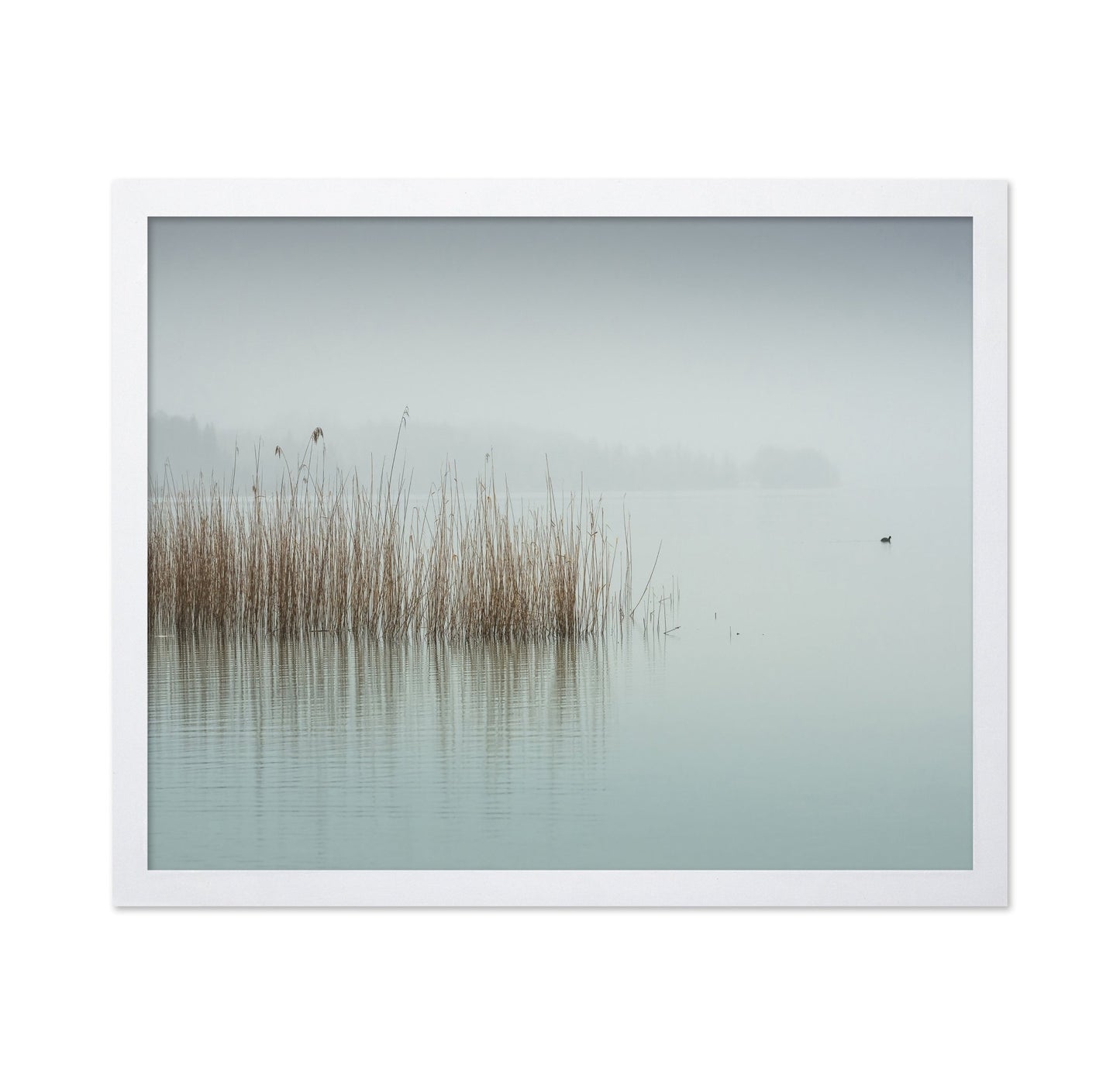 Minimalist Fog Lake