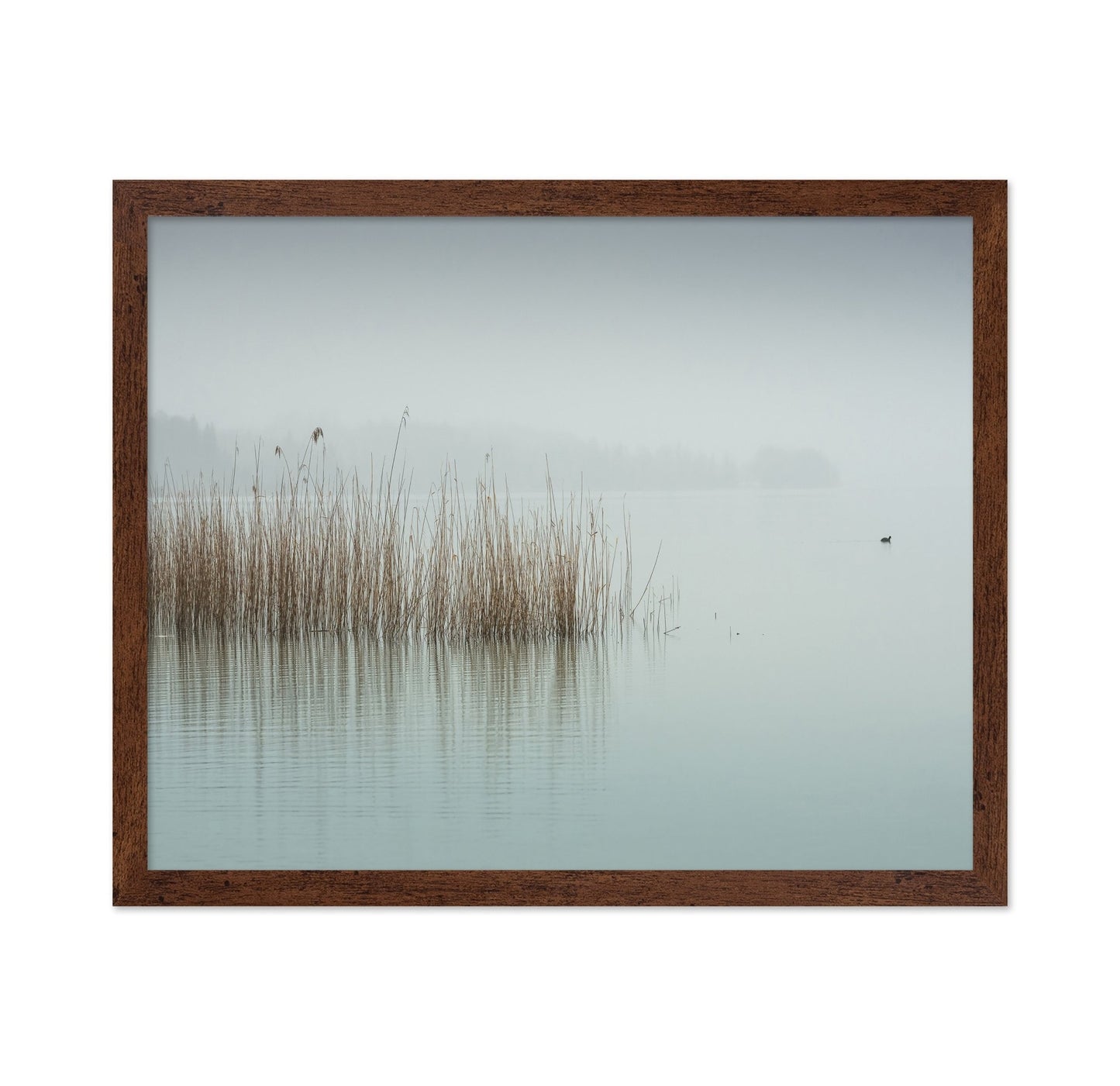 Minimalist Fog Lake