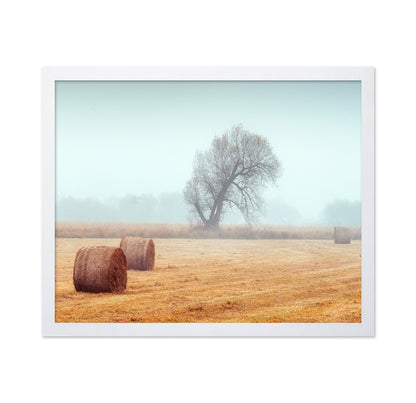 Foggy Field Hay