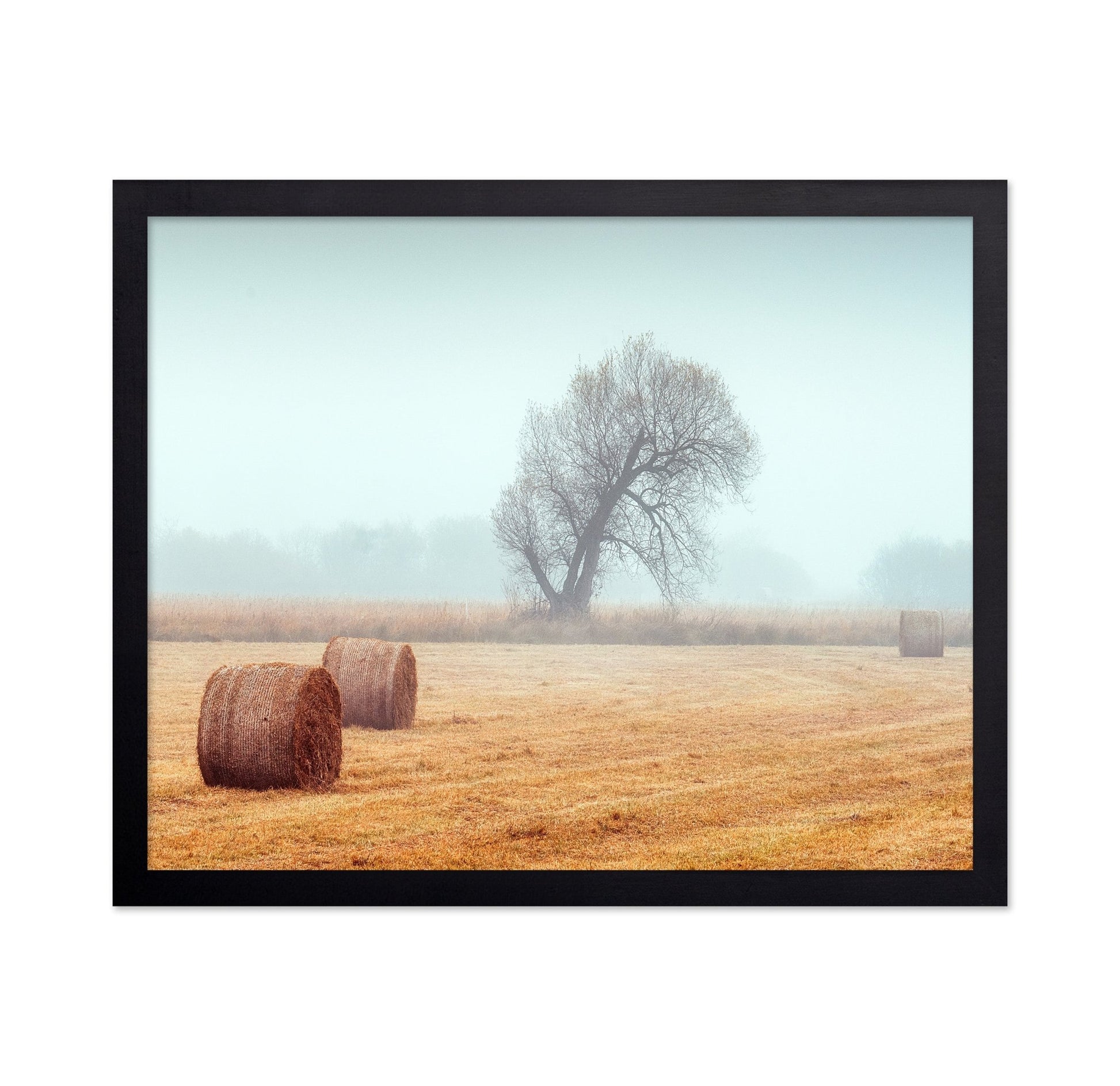 Foggy Field Hay