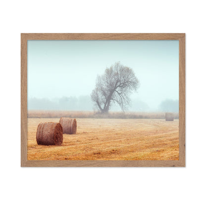 Foggy Field Hay