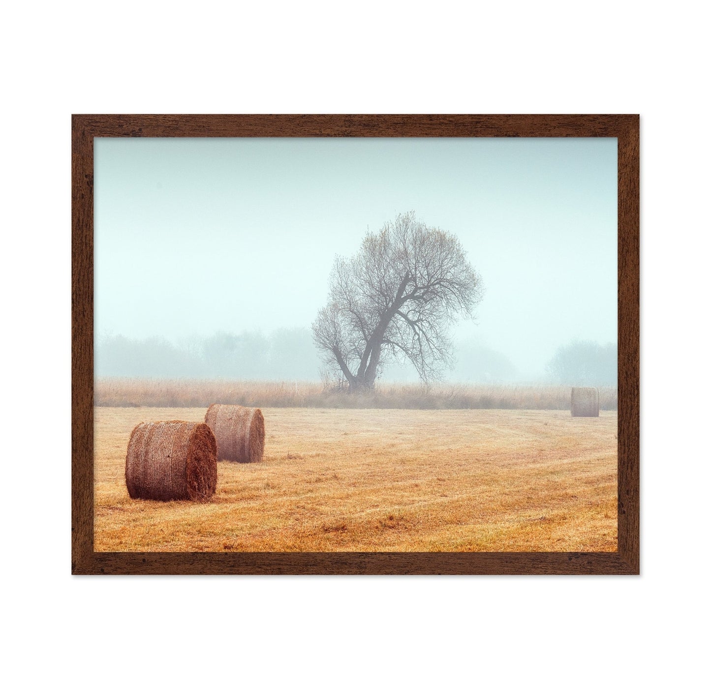 Foggy Field Hay