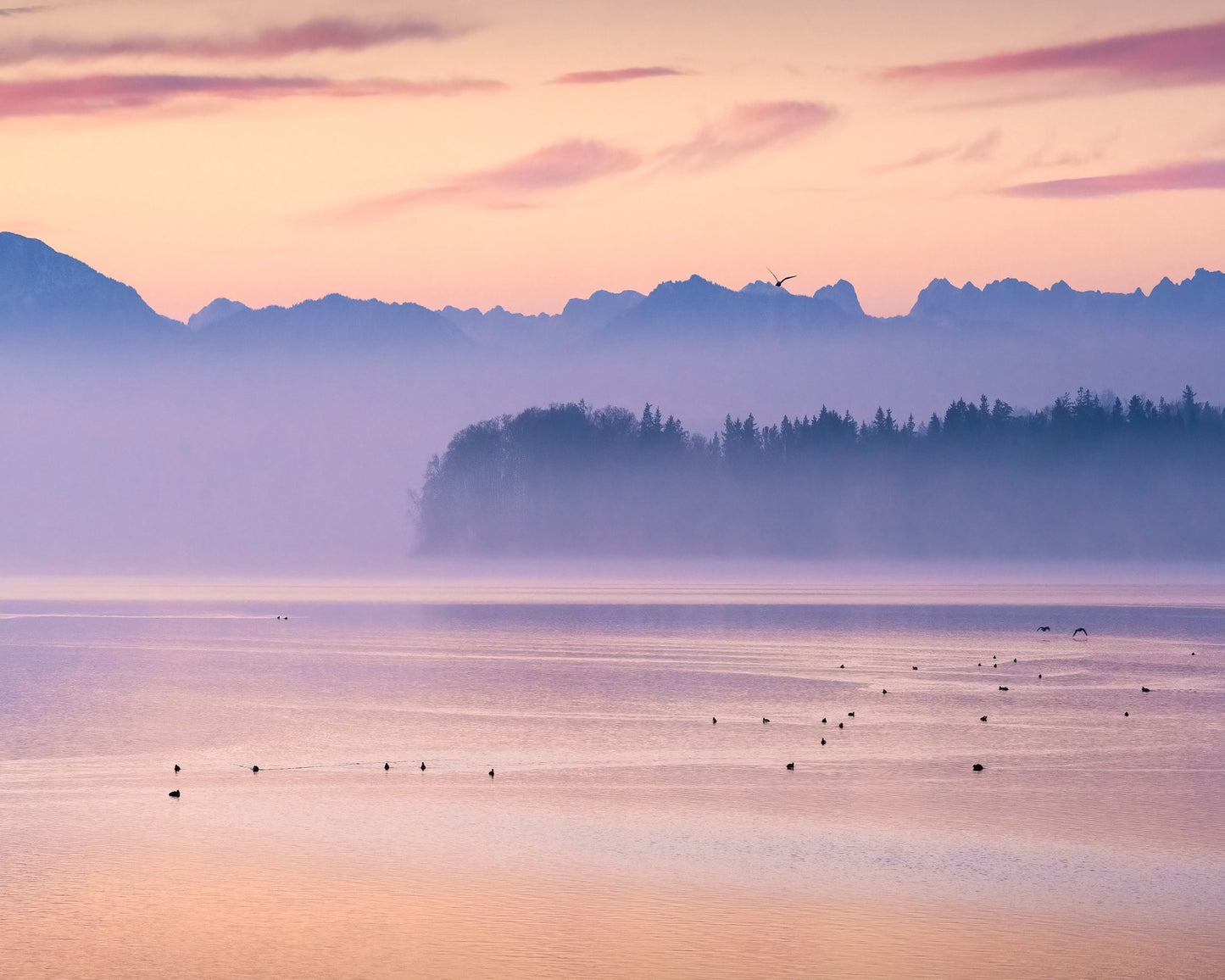 Misty Lake Horizon