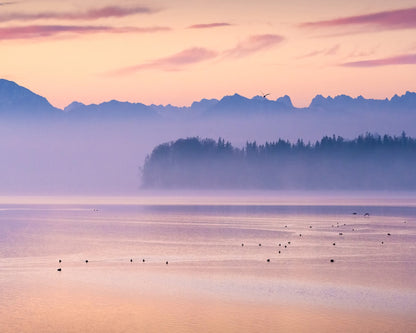 Misty Lake Horizon
