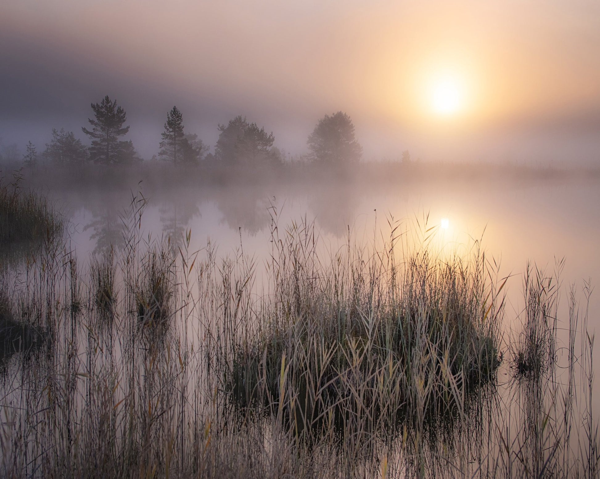 Misty Marsh Sunrise No2