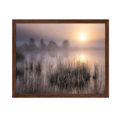 Misty Marsh Sunrise No2