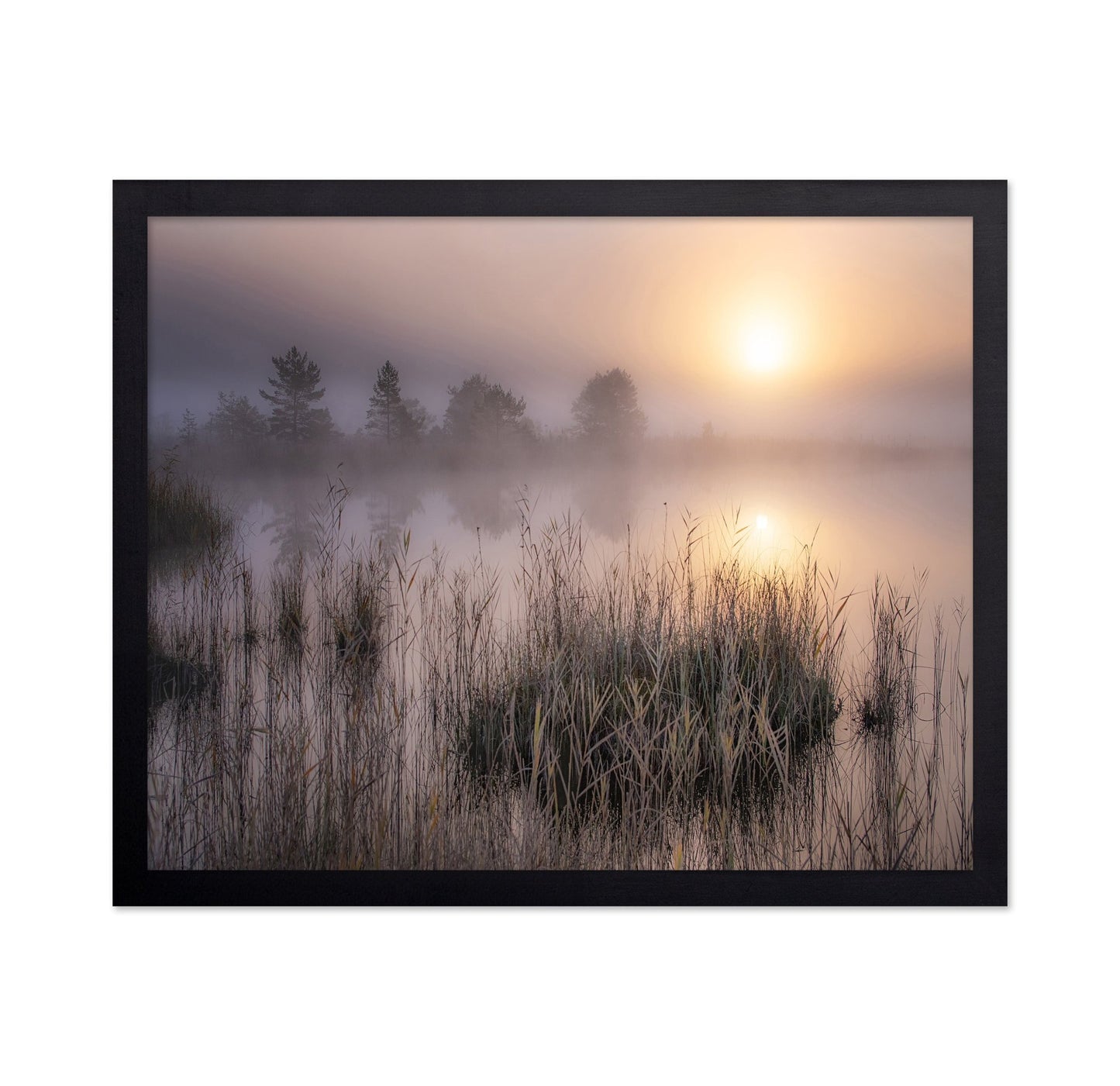Misty Marsh Sunrise No2