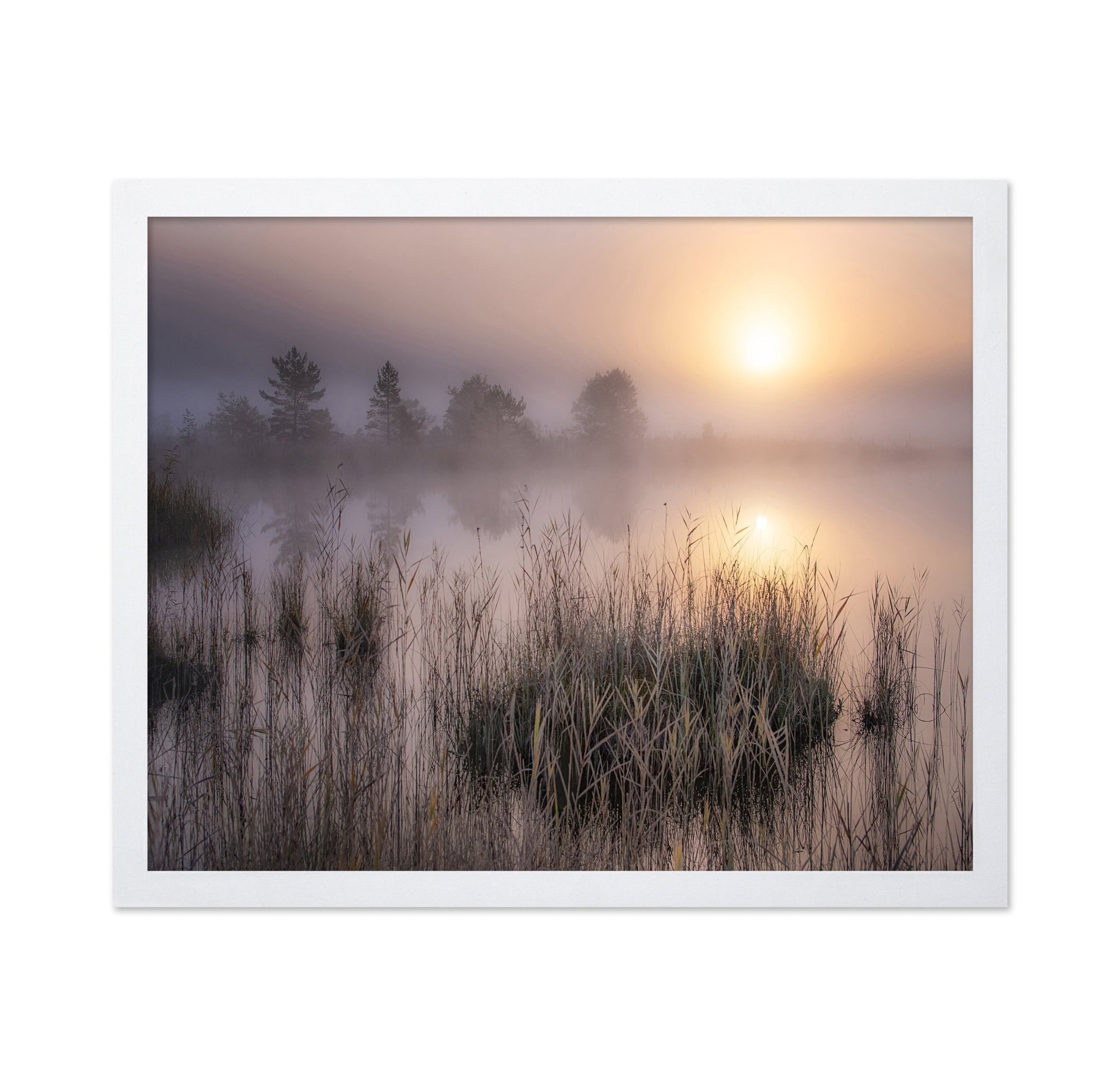 Misty Marsh Sunrise No2